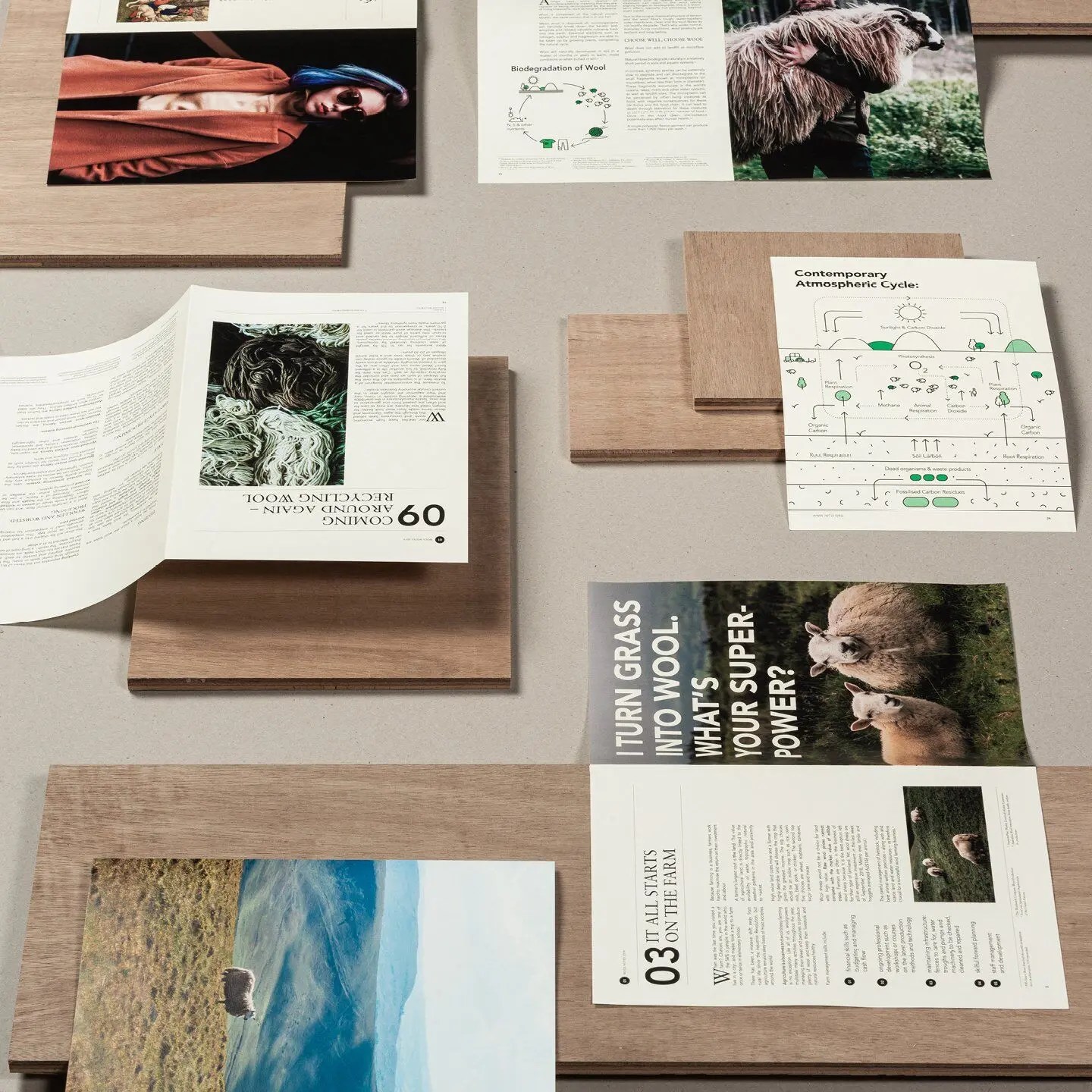 Instagram Collateral9
